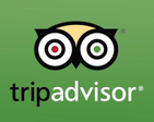 TripAdvisor4